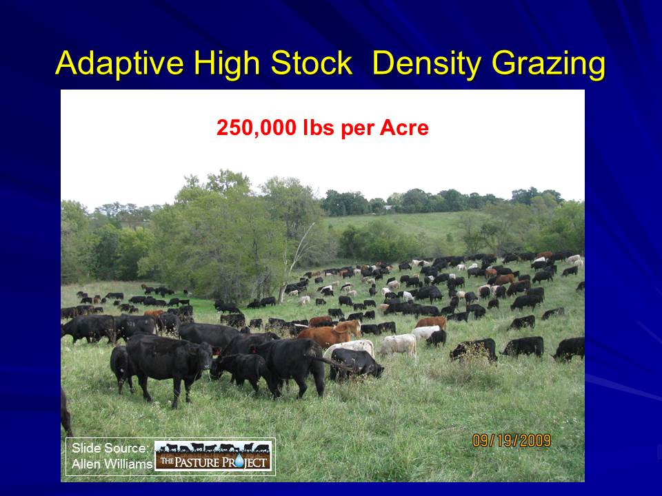 250k pound stocking rate slide image