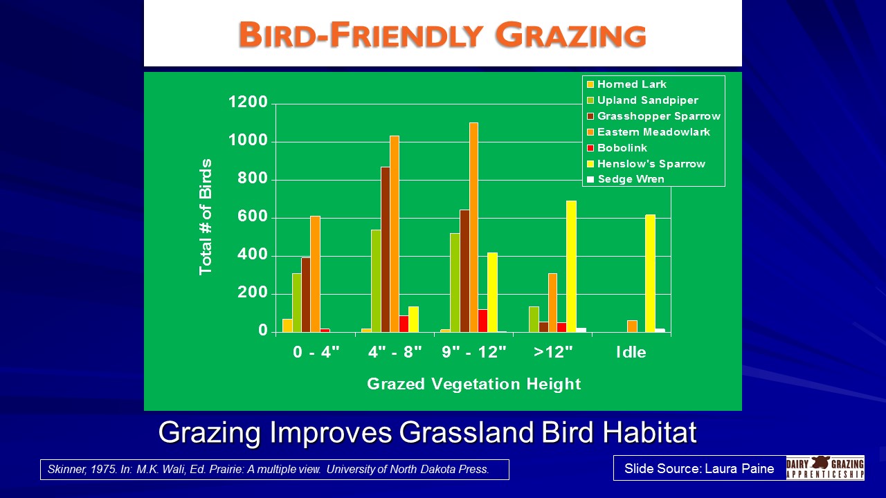 Bird Friendly Grazing 2 slide image