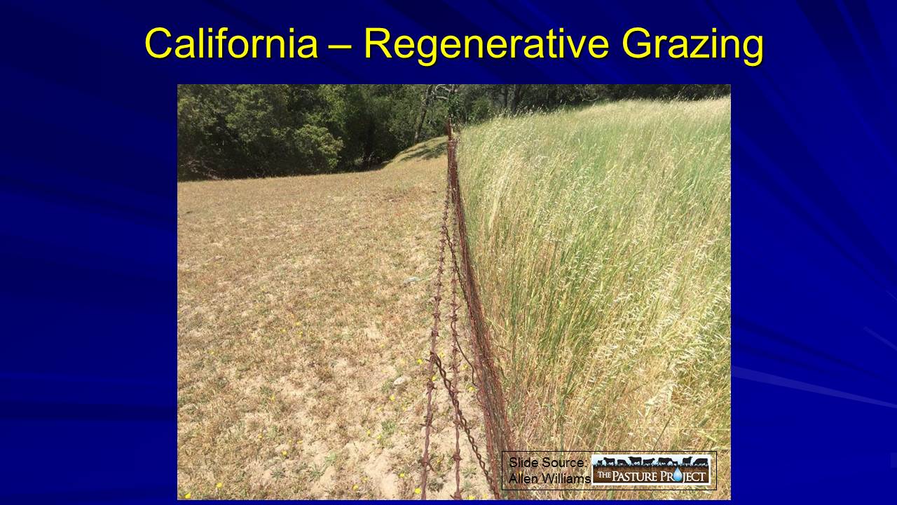 California regenerative grazing slide image