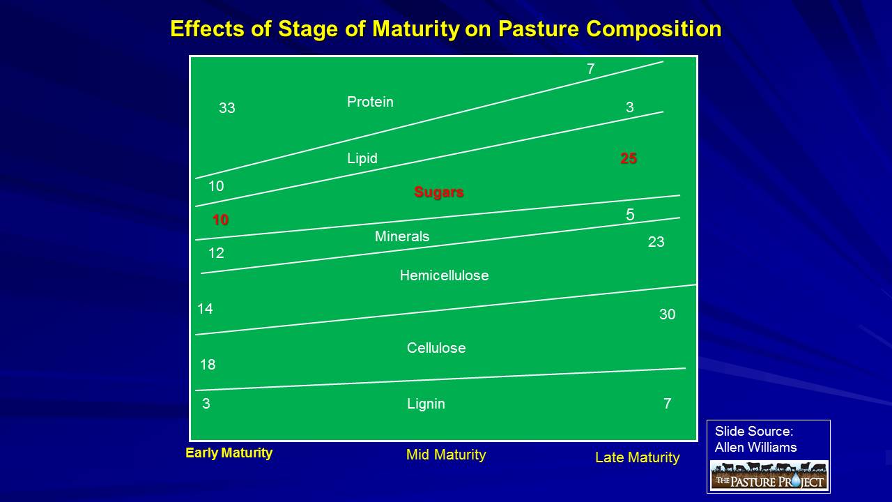 Effects of stage of maturity slide image
