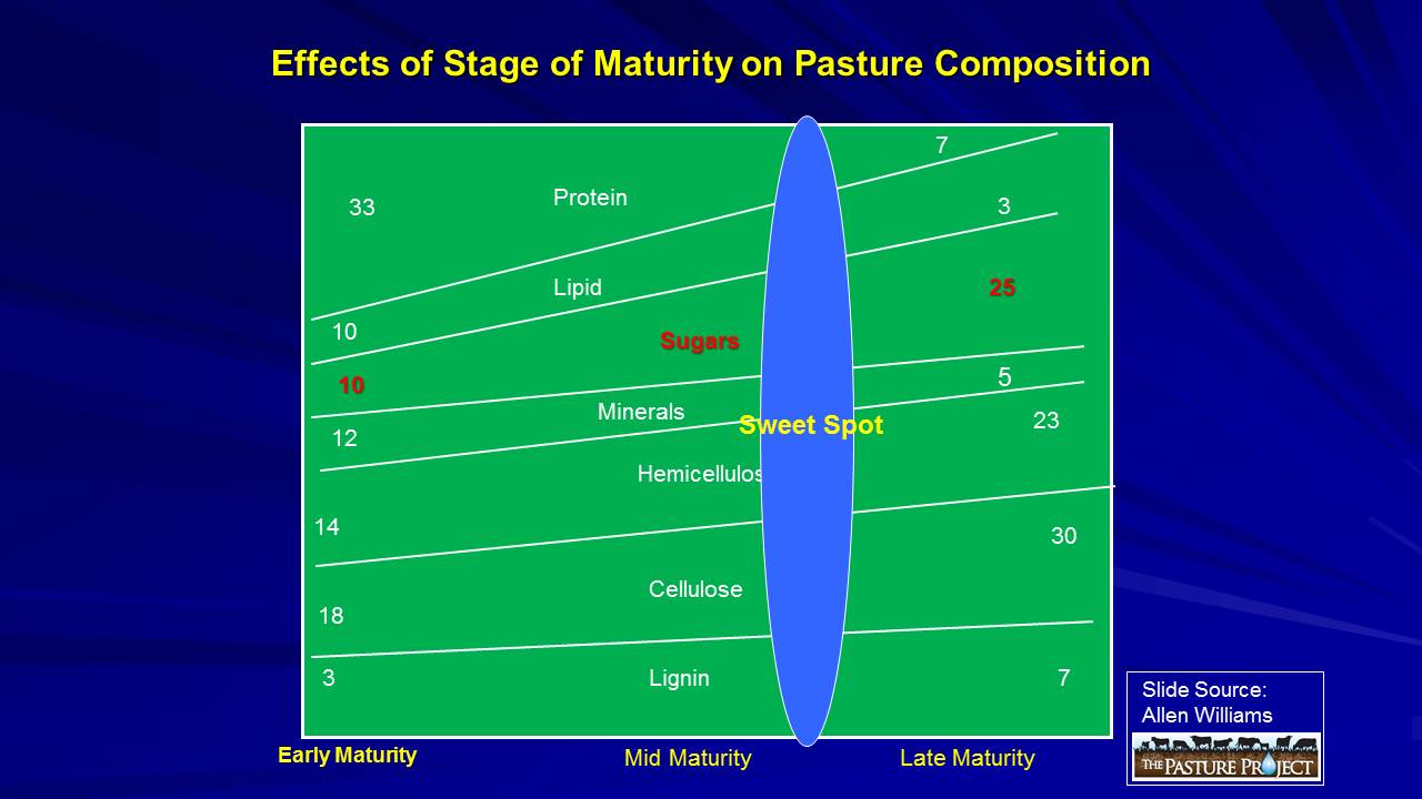 Effects of stage of maturity sweet spot slide image