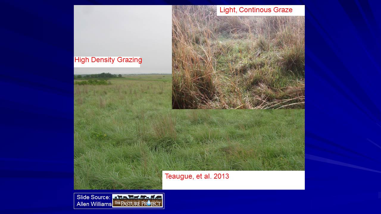 High vs light grazing slide image