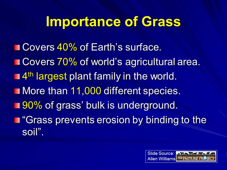 Importance of grass slide image