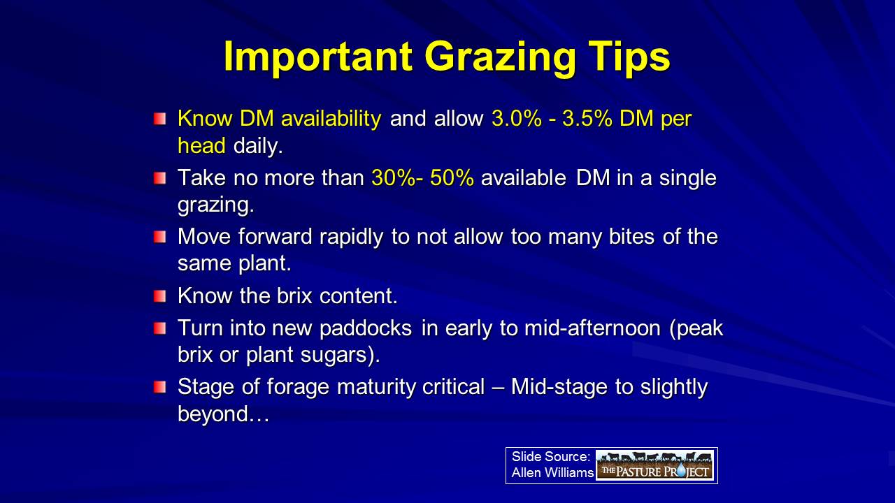 Important grazing tips slide image