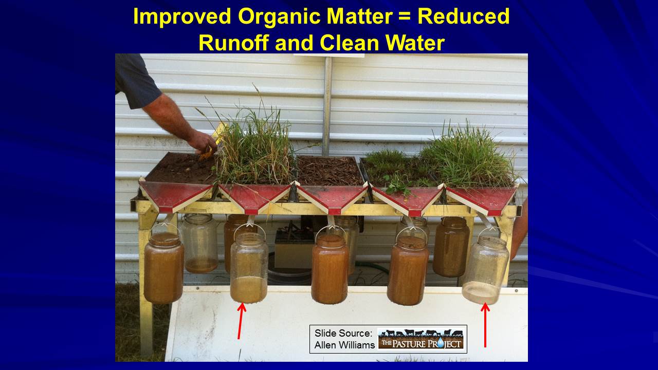 Improved organic matter slide image