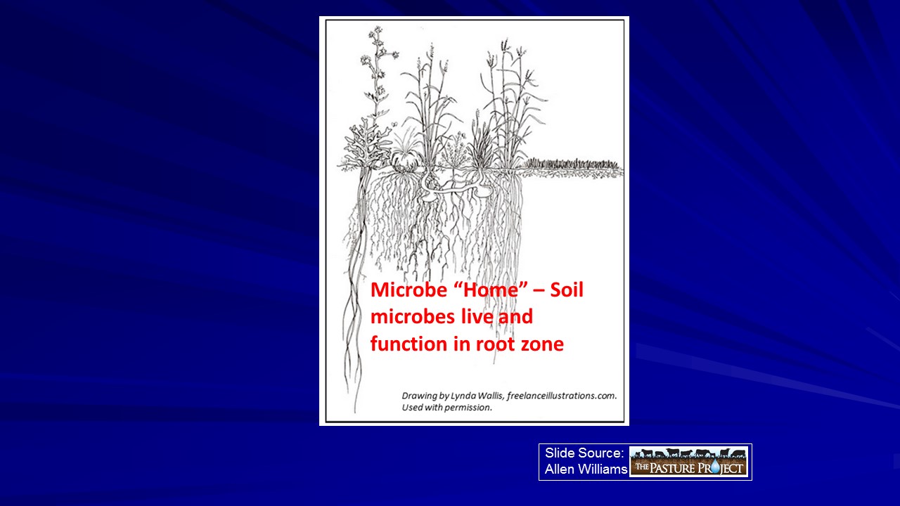 Microbe home slide image