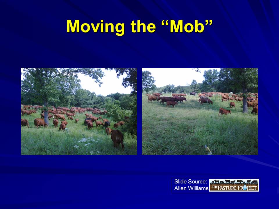 Moving the mob slide image