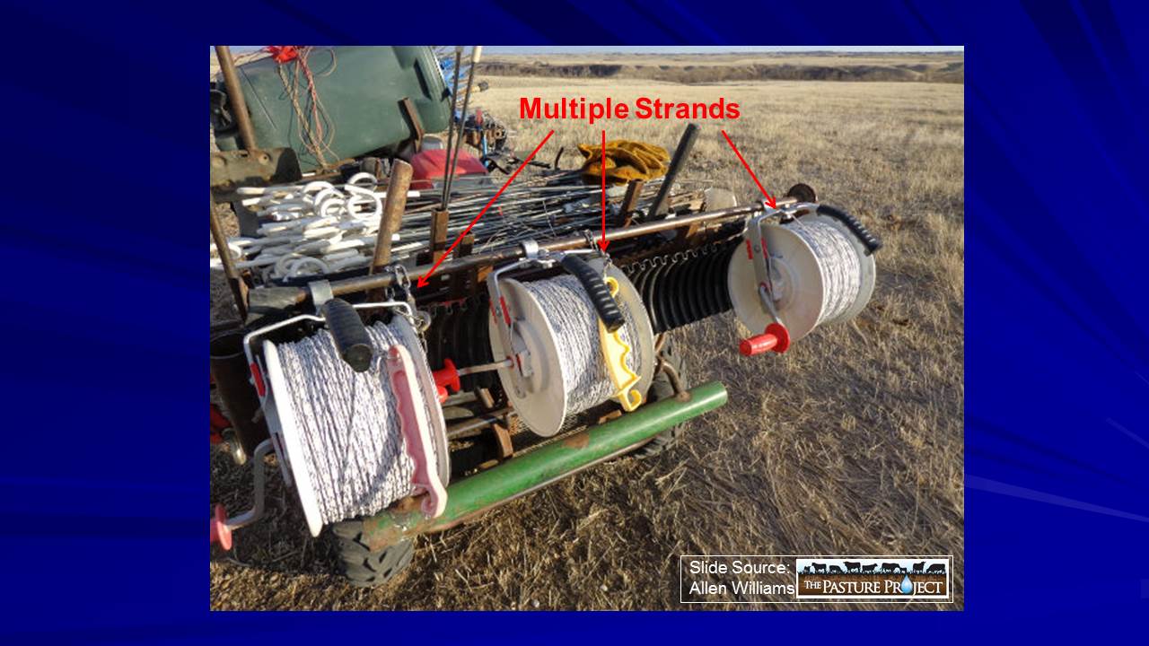 Multiple strands slide image