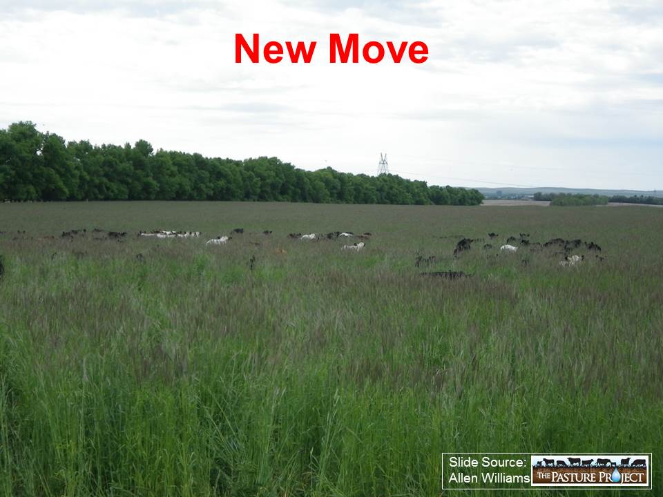 New move slide image