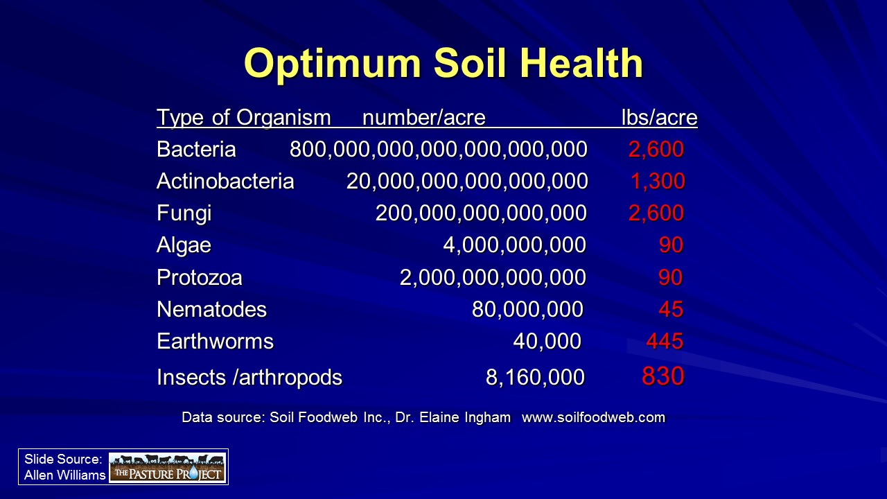 Optimum soil health slide image