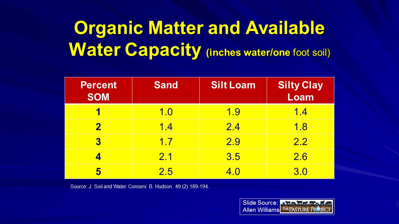 Organic matter slide image