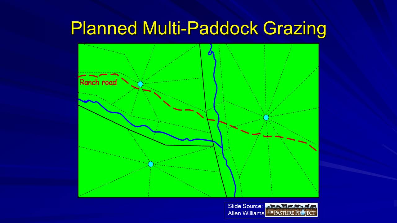 Planned multi-paddock grazing slide image
