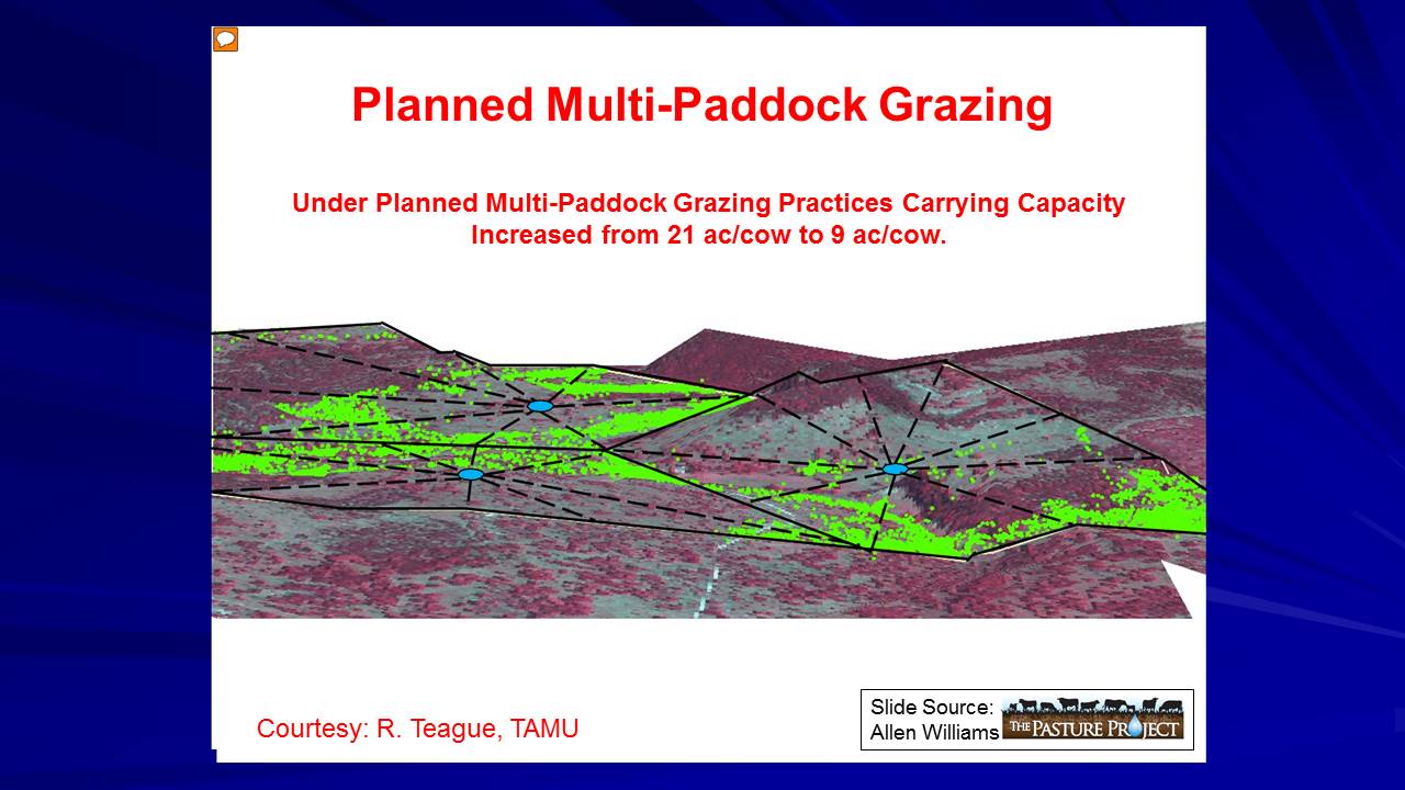 Planned multi-paddock grazing slide image