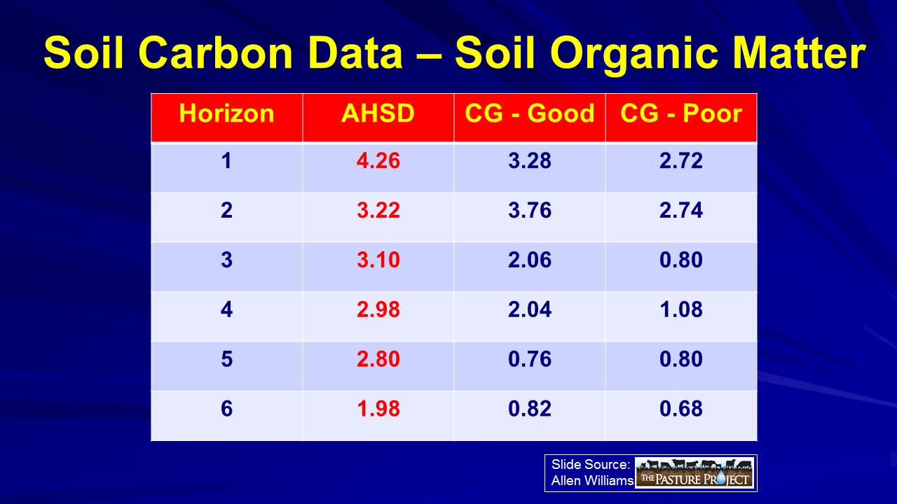 Soil organic matter slide image