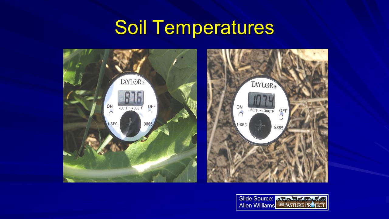Soil temperatures slide image