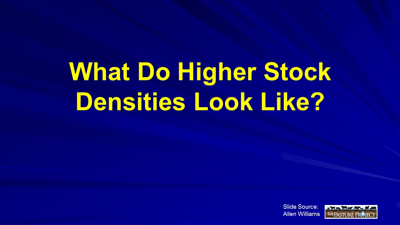 What Do Higher Stock Densities Look Like slide image