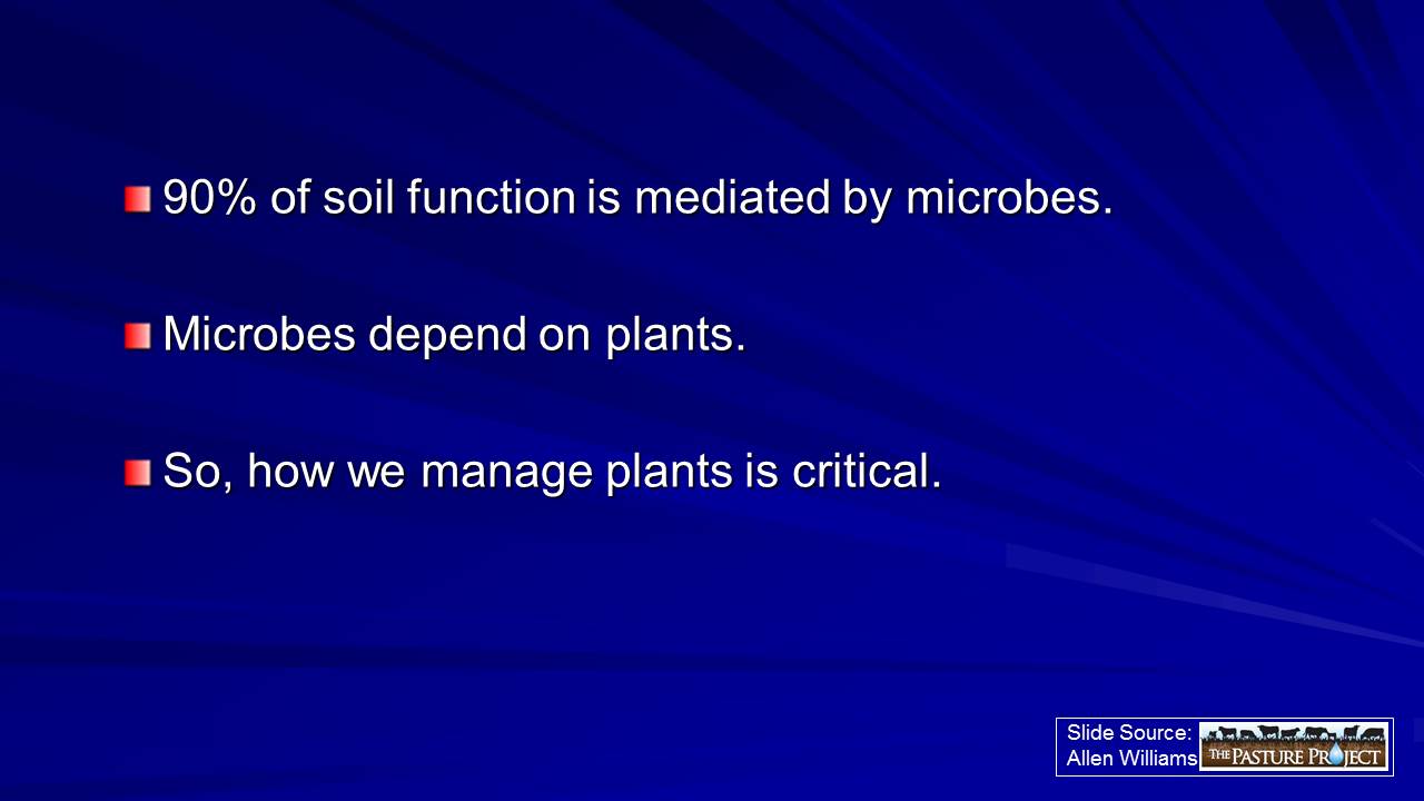 Microbes and plants slide image