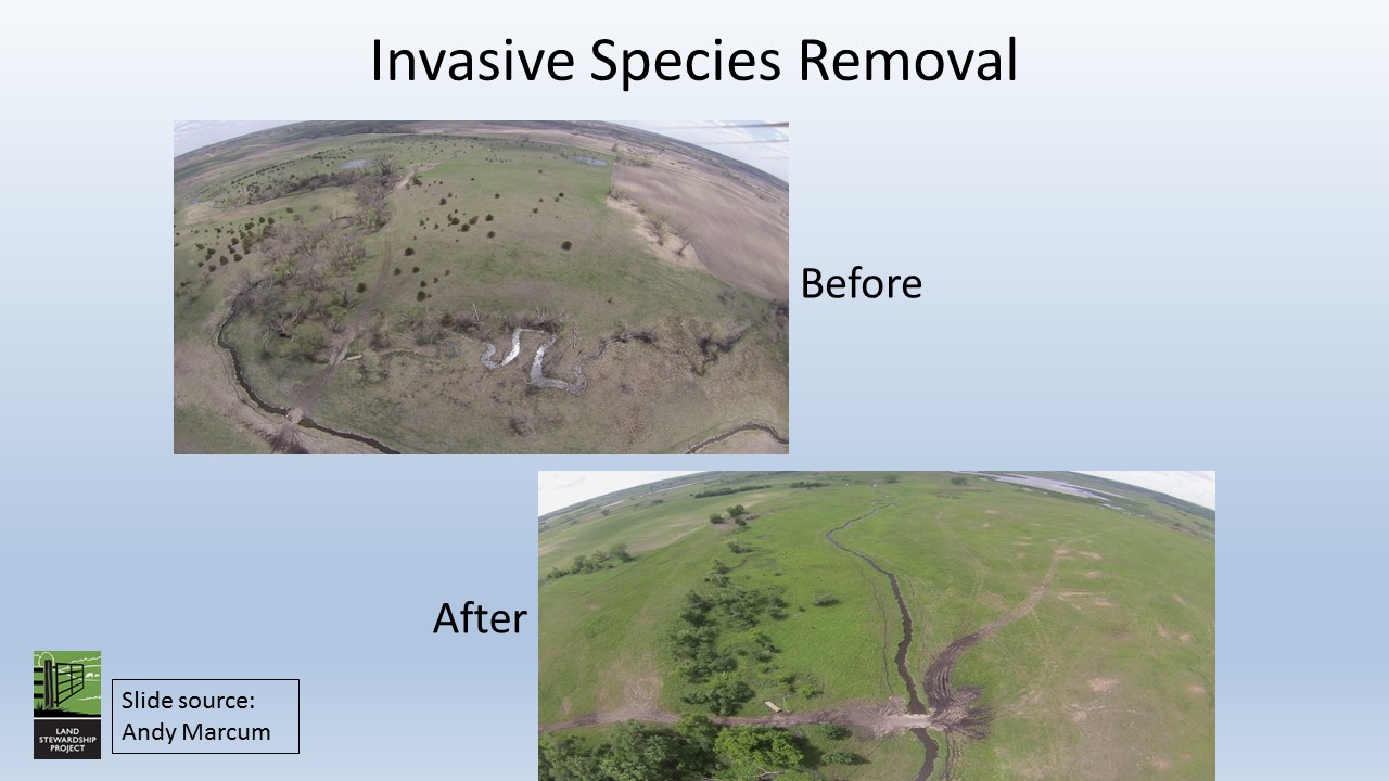 Invasive Species Removal slide image