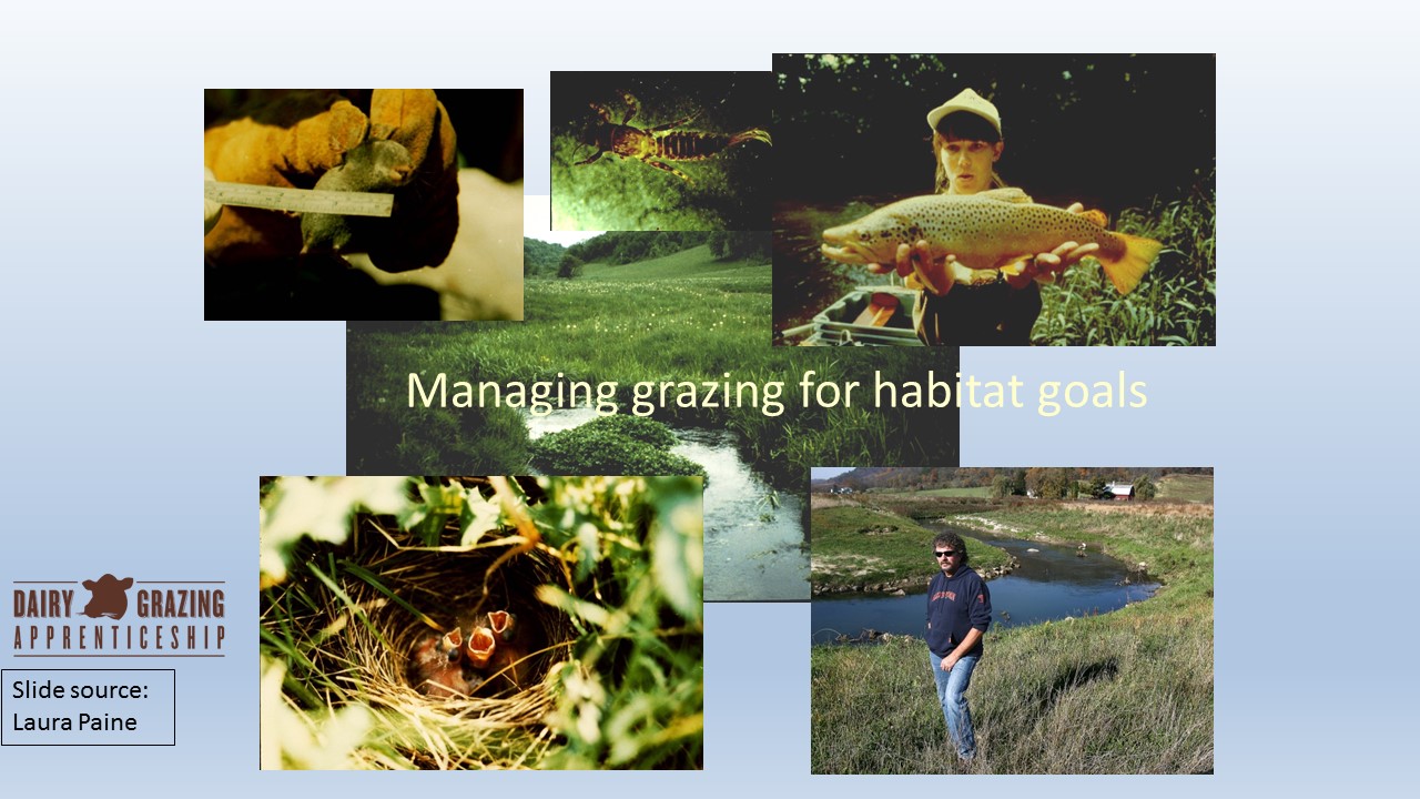 Managing Grazing for Habitat Goals slide image