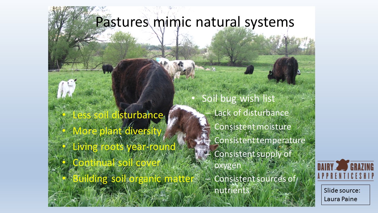 Pastures Mimic Natural Systems slide image