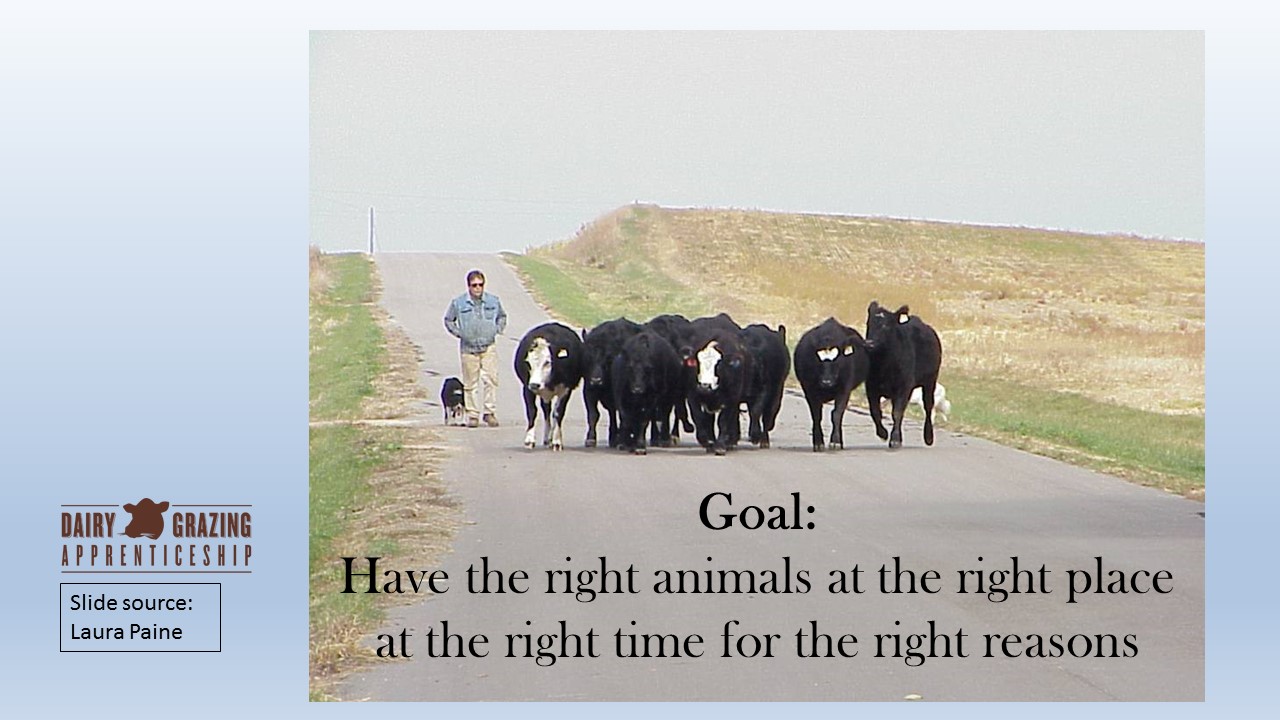 Right Animals Right Time Right Place Right Reason slide image