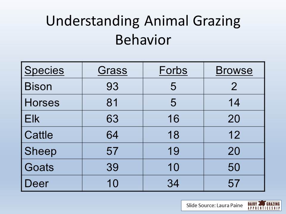 understanding animal grazing behavior slide image