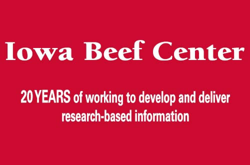 Iowa Beef Center wordmark