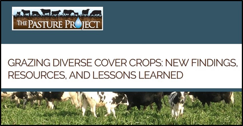 Pasture Project, LSP, PFI, SFA project on cover crop grazing