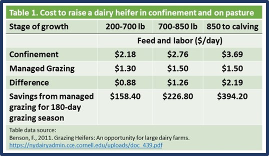 Table 1 from grazing dairy heifers paper