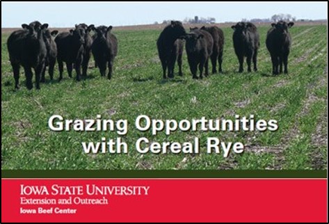 ISU grazing cereal rye fact sheet Iowa State Univ