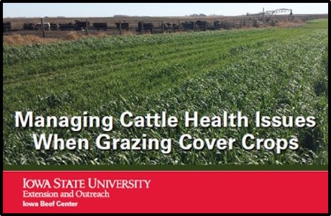 Managing Cattle Health when Grazing Cover Crops Iowa State Univ fact sheet