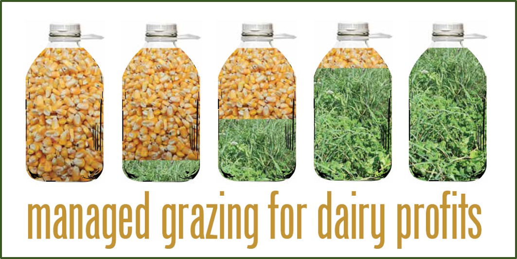 Managed Grazing graphic of milk jugs corn to grass